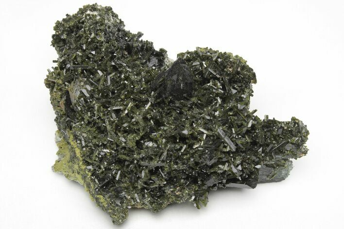 Lustrous Epidote Crystals on Actinolite - Pakistan #213446